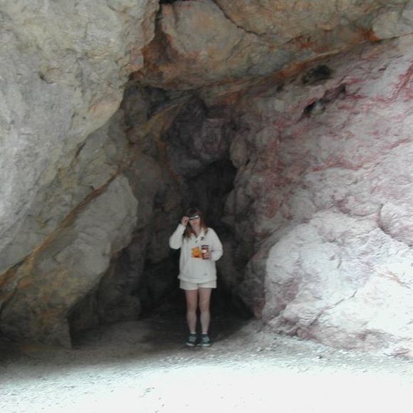 Meet your Posher, Vickie - Picture 1 of 1